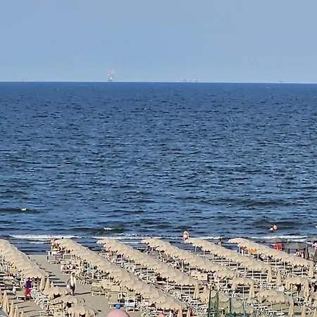 Gabbiano