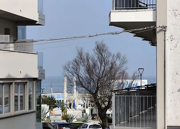 Gabbiano تّشيرفييا